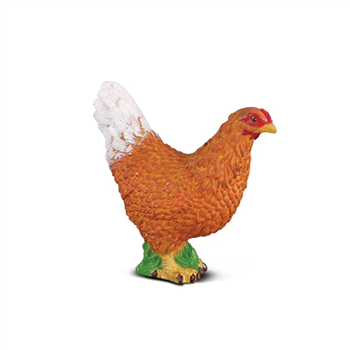 Hen