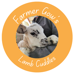 Lamb Cuddles - February & March