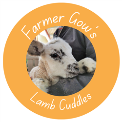 Lamb Cuddles Oxfordshire - February & March