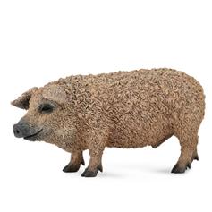 Hungarian Pig