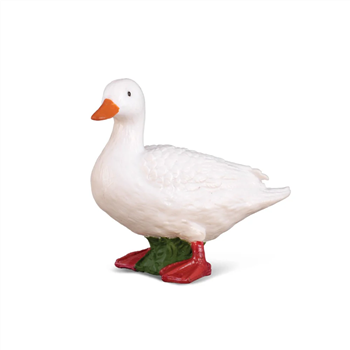 White Duck