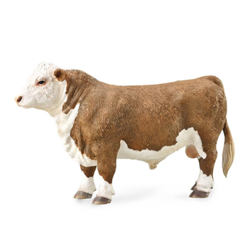 Hereford Bull