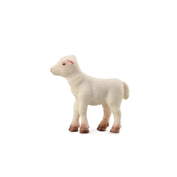 Lamb