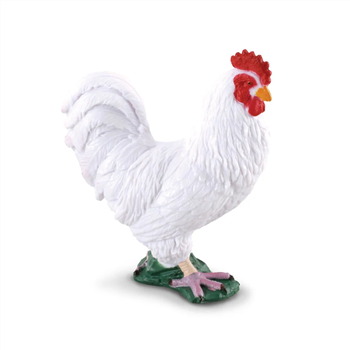 Cockerel White