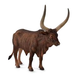 Ankole-Watusi Bull