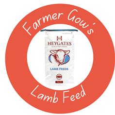 Bag of feed for Lambs