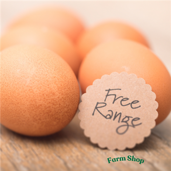 6 free range eggs