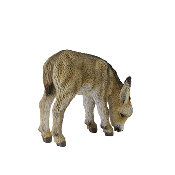 Donkey Foal grazing