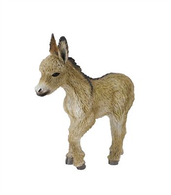 Donkey Foal