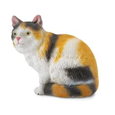 3-Colour House Cat Sitting
