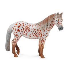 British Spotted Pony Mare Chestnut Leopard