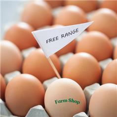 12 free range eggs