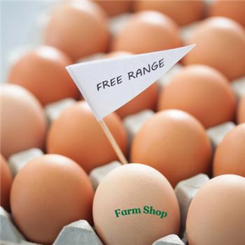 12 free range eggs