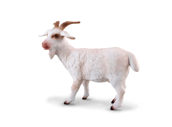 Billy Goat