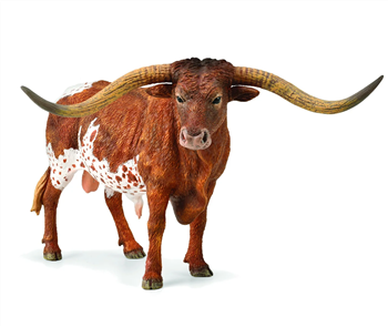 Texas Longhorn Bull