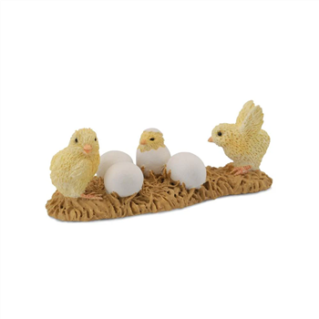 Chicks Hatching